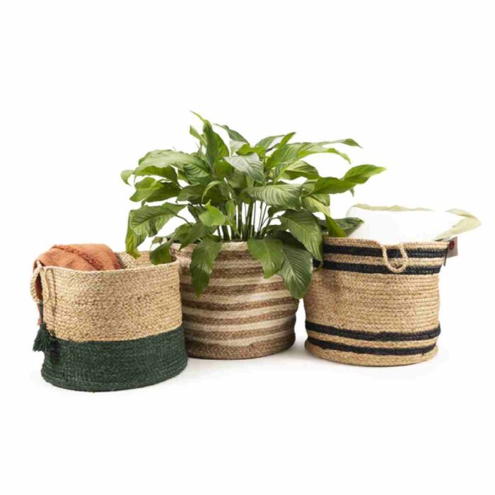 Smoke Green 16053SMN - Image 9
