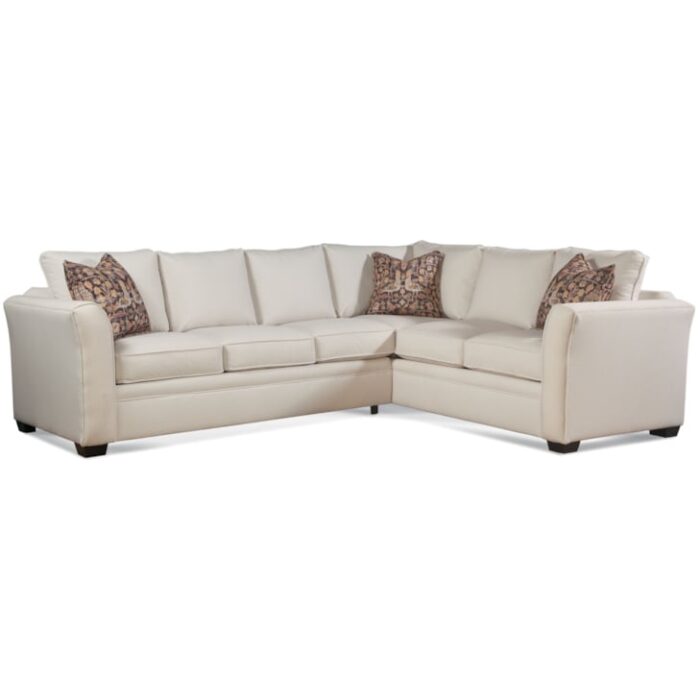 Bridgeport 2-Piece L Sectional Sofa - Image 3