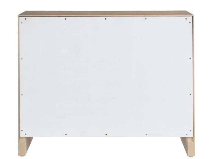 Desi Hall Chest - Image 3